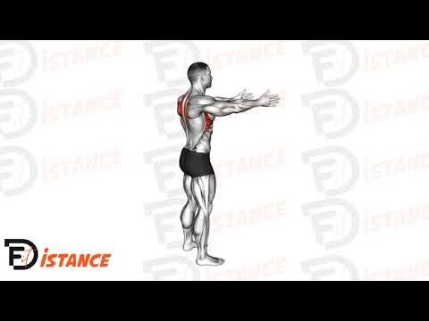 Tirage scapulaire debout (échauffement)