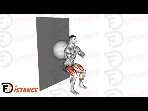 Squat contre le mur avec ballon (Swiss Ball)
