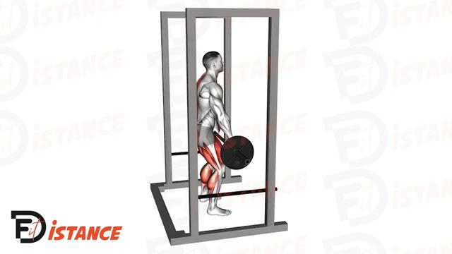 Soulevé de terre au rack (Rack Pulls)