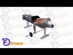 Exercice Rowing couché à la barre