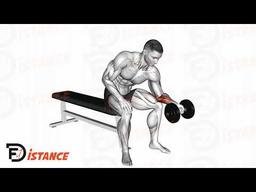 Exercice Curls avant-bras supination