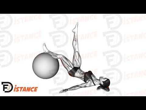 Extension de jambe unilatéral avec ballon (Swiss Ball)