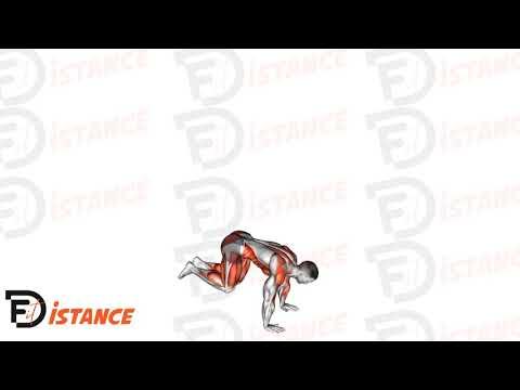 Burpee Jumping Jack