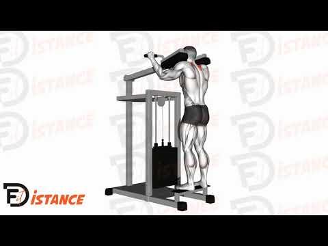 Shrugs à la machine à mollets