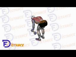 Exercice Tirage avec haltères en prise neutre