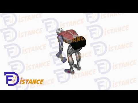 Tirage avec haltères en prise neutre
