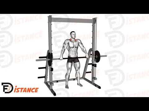 Shrugs prise large à la guidée (Smith machine)