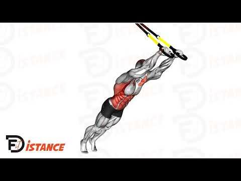 Retombée au TRX (Extension des abdos)