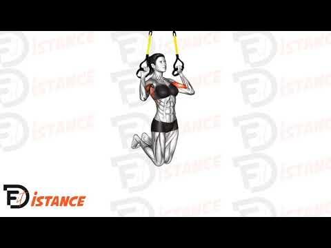 Tractions TRX