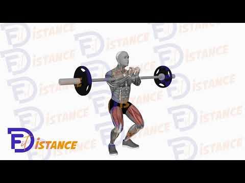 Squat Zercher