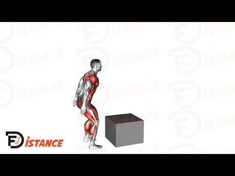 Jump squats sur une box - Squat sautés sur box