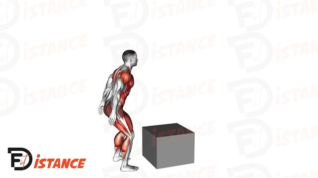 Jump squats sur une box - Squat sautés sur box