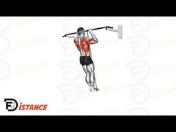 Exercice Traction assistée avec bande élastique