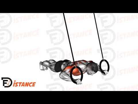 Pompes russes (russian push-ups) aux anneaux
