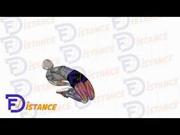 Exercice Squats à genoux