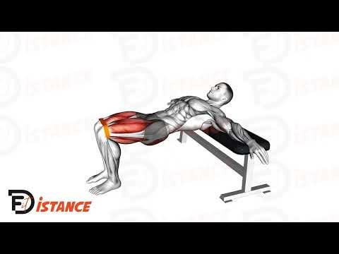 Hip thrust avec élastique