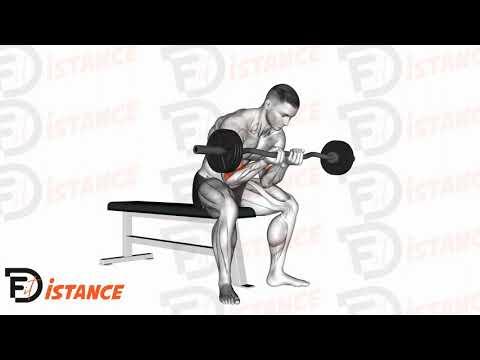 Curl concentré avec barre EZ en position assise, prise serrée