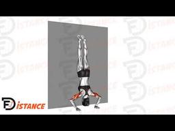 Exercice Pompes en équilibre contre le mur