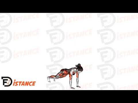 Burpee