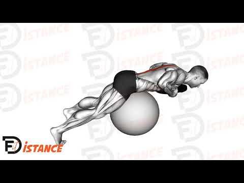 Hyperextensions sur ballon (Swiss Ball)