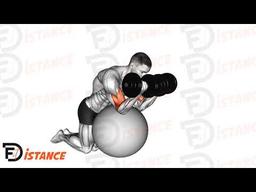 Exercice Curl incliné avec haltères sur ballon (Swiss Ball)