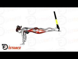 Exercice Planche TRX
