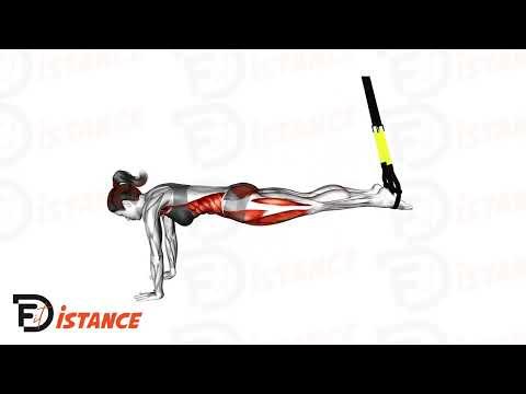 Planche TRX