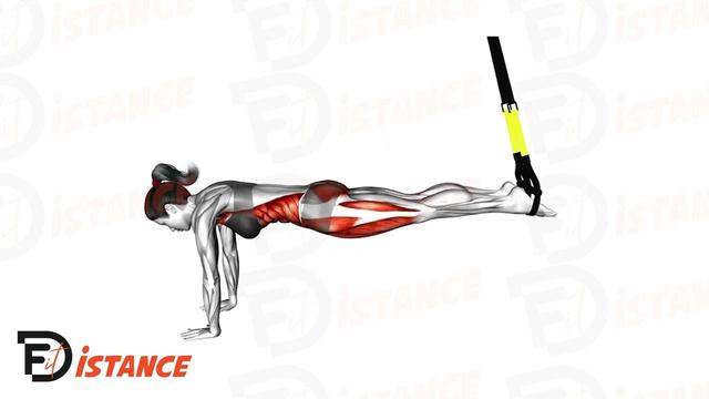 Planche TRX