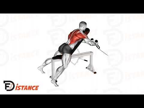 Rowing poulie basse corde appui contre un banc