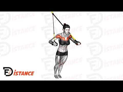 Développé couché ou pompes au TRX