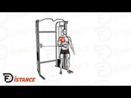 Exercice Rotation interne à la poulie