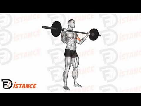 Curl biceps debout avec barre prise large