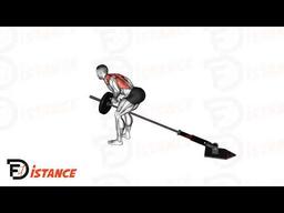 Exercice Rowing à la landmine