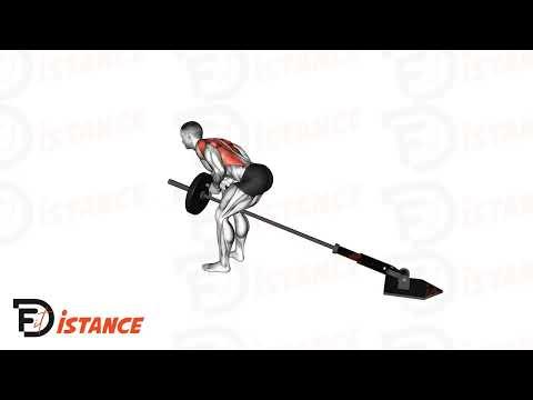 Rowing à la landmine
