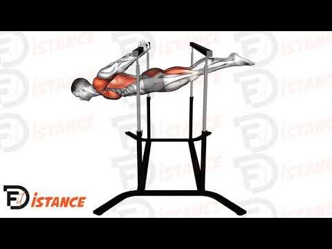 Back lever