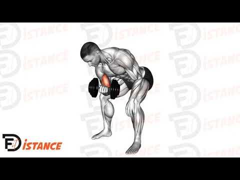 Curl concentré bras sur cuisse avec haltère