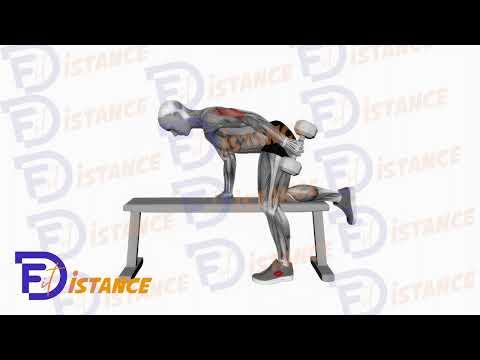 Kickback - Extension arrière des triceps avec haltères genou sur un banc