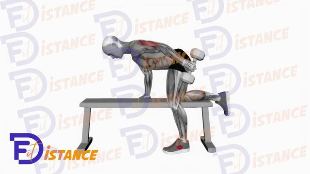 Kickback - Extension arrière des triceps avec haltères genou sur un banc