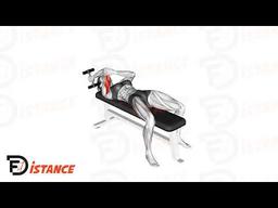 Exercice Extension unilatérale des triceps couché avec un haltère en prise supination