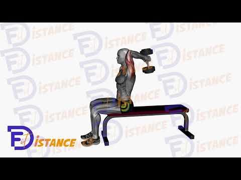 Extension des bras avec haltères au-dessus de la tête (assis)
