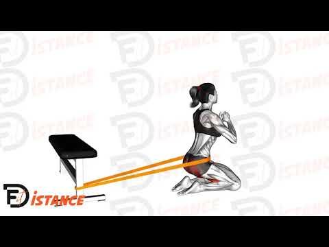 Hip Thrusts sur les genoux