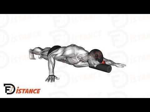Foam roller sur le biceps