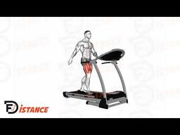 Exercice Marche sur Tapis de course