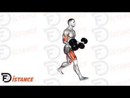 Exercice Fente avec haltères et curl biceps
