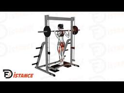 Exercice Fentes arrières à la Smith Machine (guidée)