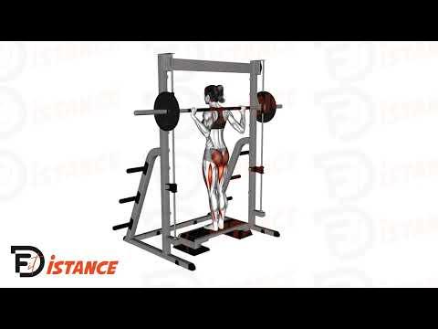 Fentes arrières à la Smith Machine (guidée)