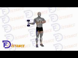 Exercice Rotation interne et externe avec haltère