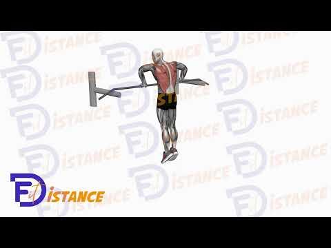 Muscle-Up
