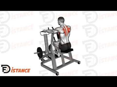 Rétraction scapulaire assise avec prise pronation