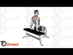 Exercice Dips scapulaires